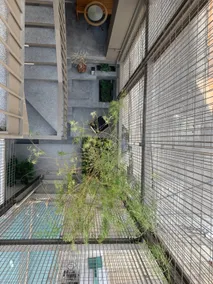 LIEW - Sleeping terrace room - 4min to MRT - Image 3