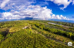 ¡TopSpot® in Quindío: The Coffee Region Heart! - Image 5