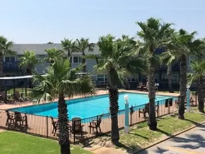 Life's a Beach - Ocean view, beachfront condo - Image 3