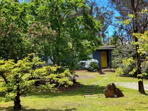 The Yellow Koala - Vibrant Home in Medlow Bath - Image 2