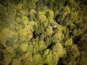 The Lazy Bear Hideaway - Image 2