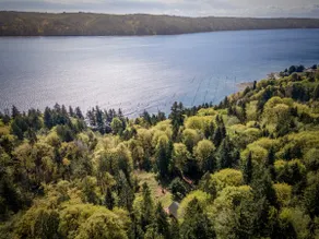 The Lazy Bear Hideaway - Image 3