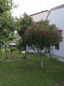 Casa MI-RE-LA - Image 5