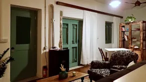 The Traditional Curious Nest - Image 3