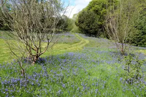 Sparrows Nest Holiday Cottage - Image 3