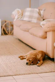 Vintage Charm by Number Sixteen Beach | 🐶 friendly - Image 4