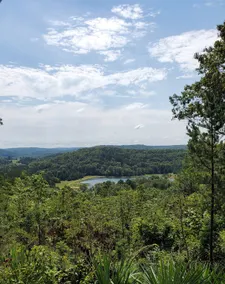 Ozark Oasis 3 B/ 3 B in Eminence with Spectacular View!  - Image 4