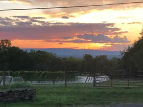 A unique mountaintop getaway overlooking Willow Croft Winery. - Image 5