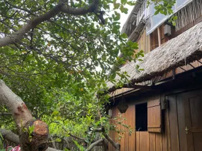 Baru House - close to the beach - Image 4
