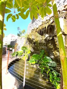 Spacious Luxury apartment with 2 bedrooms - Palm mar - Image 2