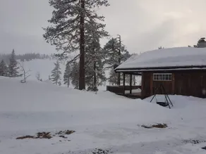 Vikerfjell - Ringerudsetra. - Image 3