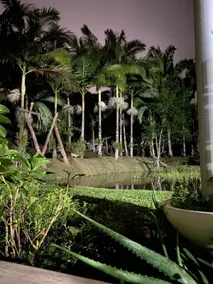 Recantodoamorim lake house, peace and quiet. - Image 4