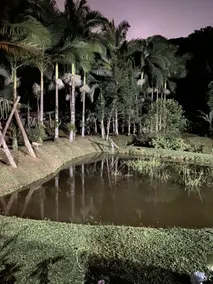 Recantodoamorim lake house, peace and quiet. - Image 5