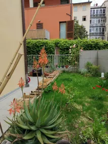 Riverside Private Garden Apartment Lungarno del Tempio - Image 5