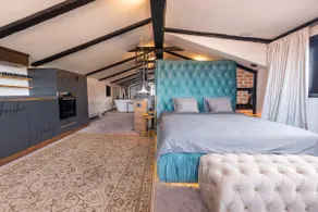 Open Space Loft Renovated Skabrin House 1921 - Image 2