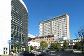 La Perla, near hospitals, the Lingotto Fiere convention center, and the metro - Image 2