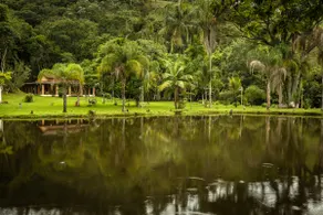 A retreat in the middle of the Atlantic Forest - Image 4
