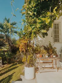 Beautiful Villa Descanso in the Lagoon of Xul ha - Image 3