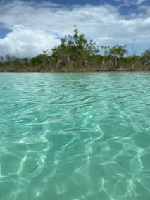 Beautiful Villa Descanso in the Lagoon of Xul ha - Image 4