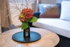 TONI 47 - Charming Apartment im idyllischem Villenviertel mit Netflix - Image 5