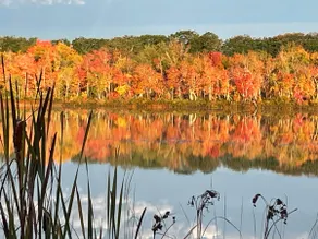 Lakefront Cottage on Tracy Pond - Image 2