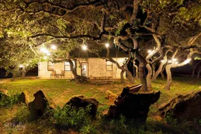 Stylish Zen Cottage at KC Memory Lane - Image 3