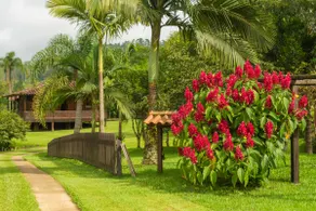Rancho Terras do Coração! Comfort and Tranquility - Image 2