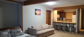 Experience Up North at Shanty Creek Summit Village - Image 5