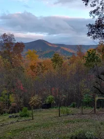 Bull Mountain Hideaway: 4BR/3Bath/Hot Tub - Image 5