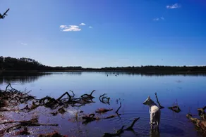 Wolfes Landing Eco Retreat - Image 2