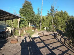 Cheerful cabin on the Calbuco volcano - Image 4