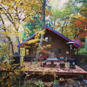 Entire property / Forest retreat / Campfire and BBQ allowed / Quiet log house for adults - Image 2