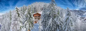 Chalet Dakota, Pied des pistes, 15 pers, La Plagne - Image 2