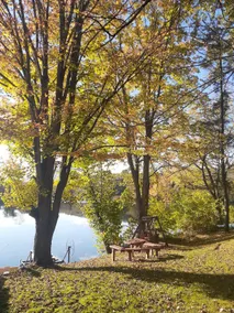 The Samrose Lake Cottage - Image 4