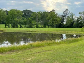 27 Private Acres / Pet Friendly/ Fishing Pond - Image 3