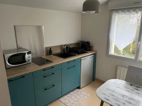 Loft on the banks of the Loire - Image 2