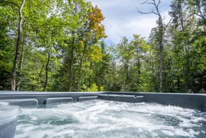 Chalet Ohana - Intimate forest and spa - Pets welcome! - Image 3