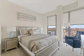 \"Bliss of Evanston\" 180°view, 2BDR +2Bath UrbanLux - Image 5