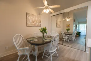 Huge Oceanside Private 2BR Apartment-Pool-Gym-Spa - Image 5