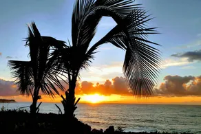 Pahoa Paradise Palms - Image 5