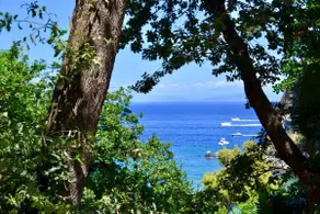 Home Rosada with Jacuzzi - sea view - Ischia - Image 2