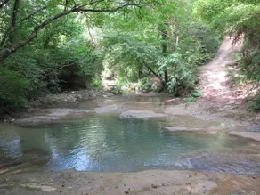 Restored Watermill with Rock Pool and Waterfall - Image 3