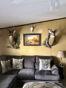 3 bedroom, 2 bathroom country home *new listing* - Image 3