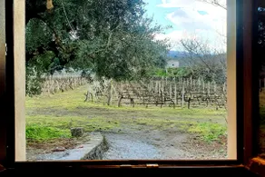 The Window on the Vineyard - Image 2