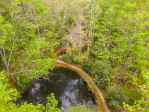 Spring Getaway*Hot Tub*Treehouse*BIG Pond - Image 4
