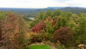 Rustic Ridge: Cozy cabin with amazing views - Image 2