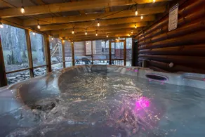 Blue Ridge Mountain Escape ! Hot Tub! Fire pit! - Image 4