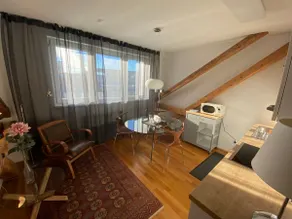Quiet serviced apartment in the center of Graz - Image 3