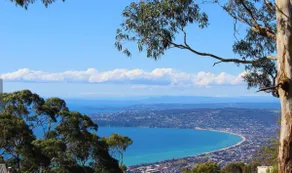 Top of the Bay by Ready Set Stay - Image 3