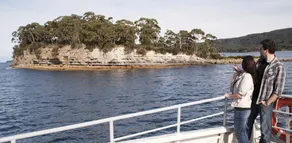 Beach Cottage - Port Arthur - EV Charger Available - Image 2